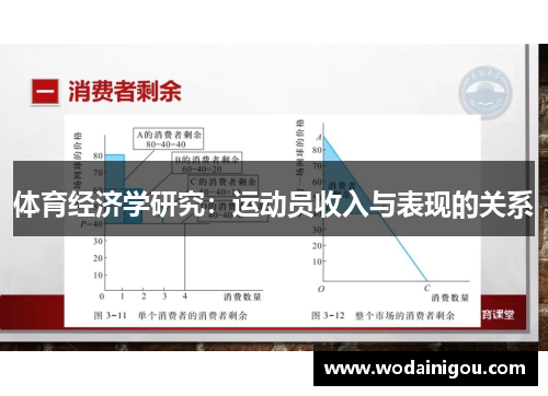 体育经济学研究：运动员收入与表现的关系